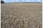Property photo 45 - 75.3 Acres Offered in 2 Tracts